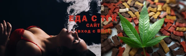 крисы Абаза