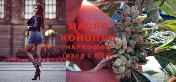крисы Абаза