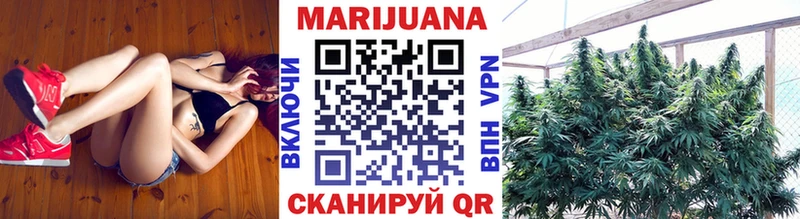 где можно купить   Тюмень  Бошки марихуана семена 